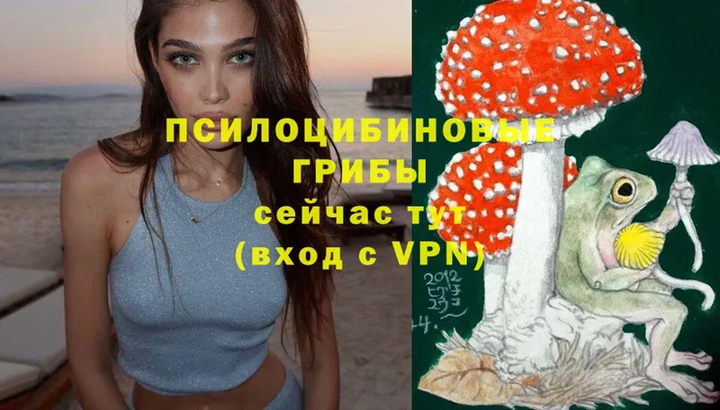 Псилоцибиновые грибы Cubensis  Нижняя Тура 